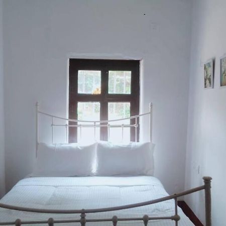 A Quaint Cottage With Rajah'S Seat View. Madikeri Exterior photo
